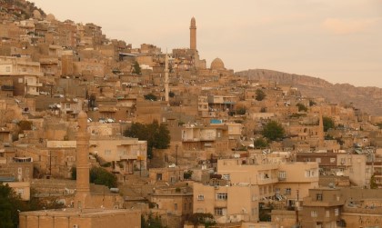 MArdin